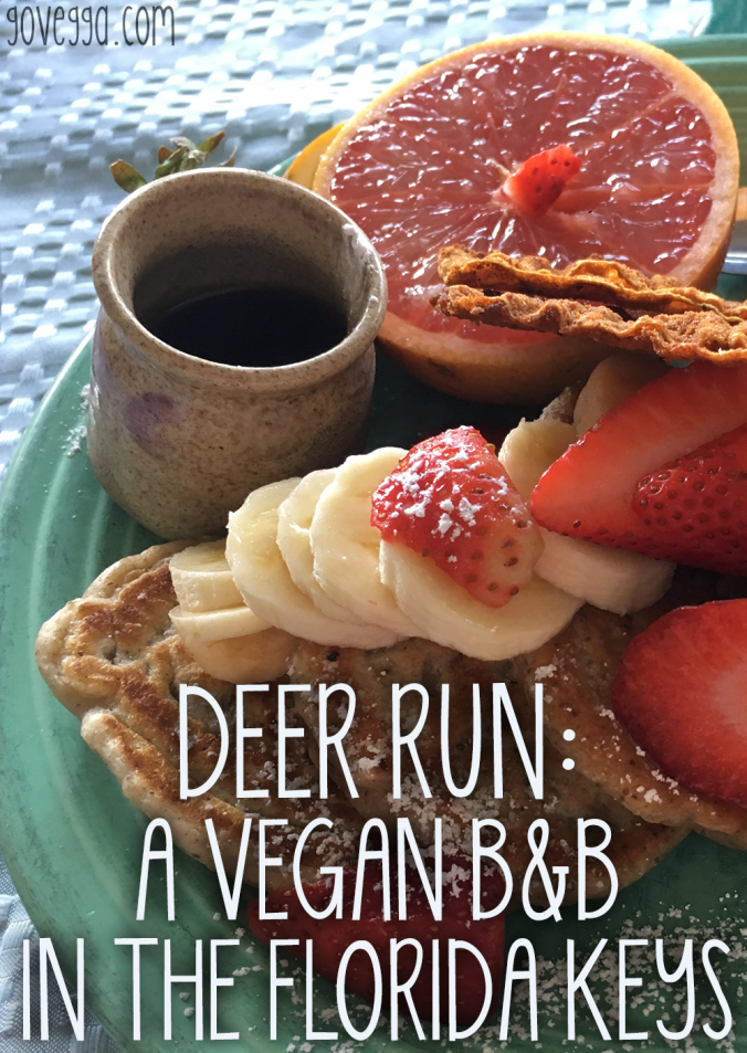 Deer Run Vegan Bed and Breakfast // govegga.com