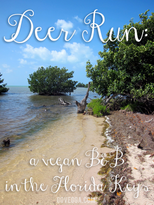 Deer Run Vegan Bed and Breakfast // govegga.com